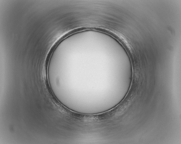 X0000116060887200912041851