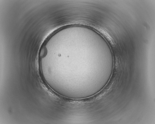 X0000116060888200912041851