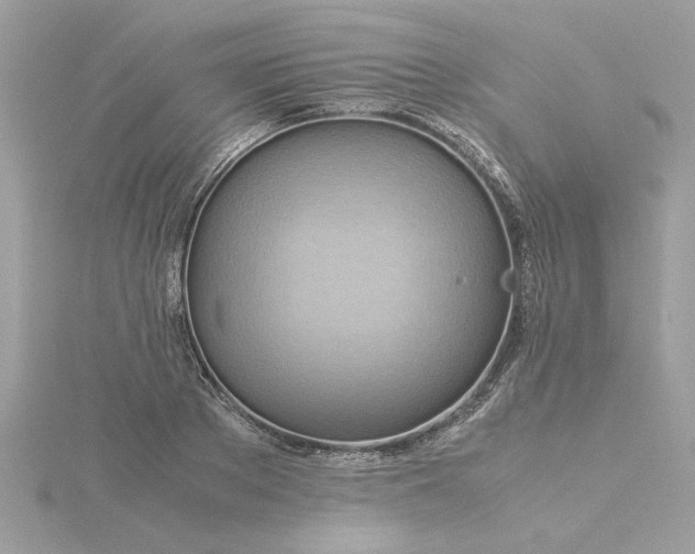 X0000116060889200912041851