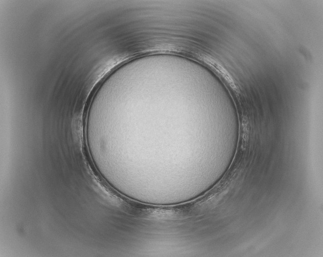 X0000116060890200912041851