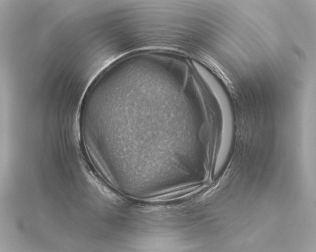 X0000116060892200912041851