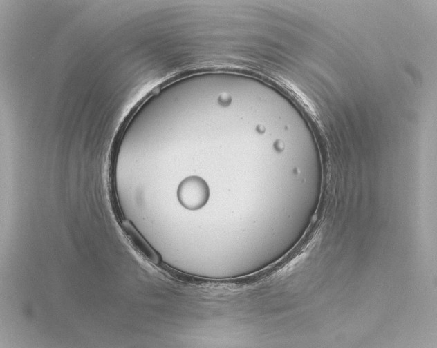 X0000116060893200912041851