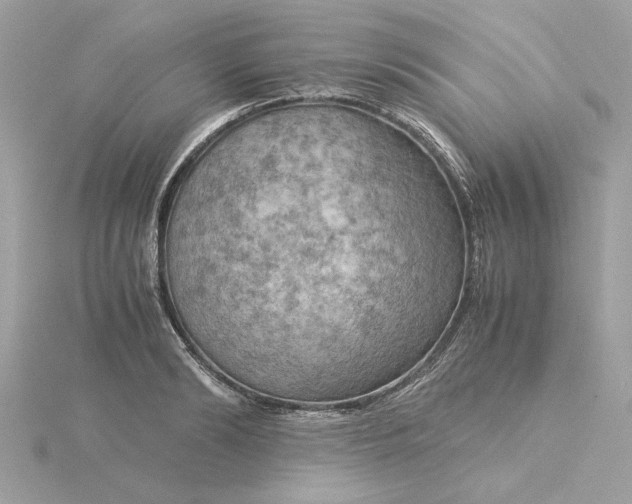 X0000116060894200912041851