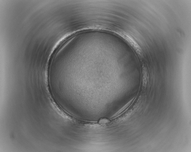 X0000116060896200912041851