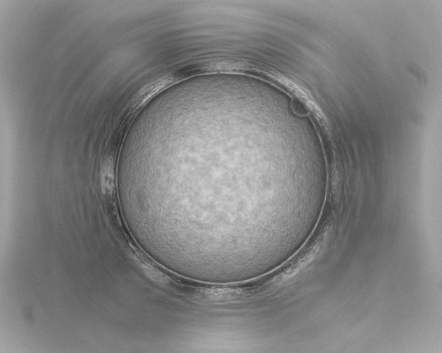 X0000116060897200912041851