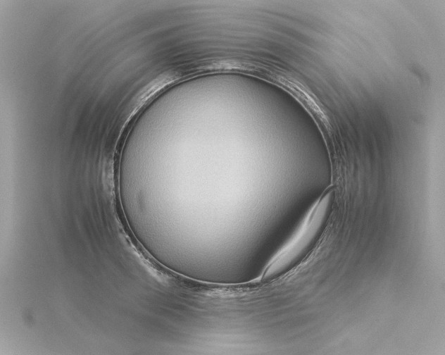 X0000116060898200912041851