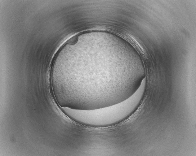 X0000116060900200912041851