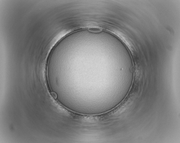 X0000116060901200912041851