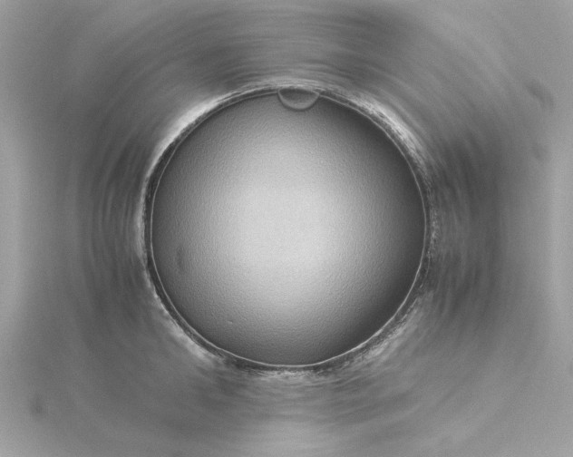 X0000116060902200912041851