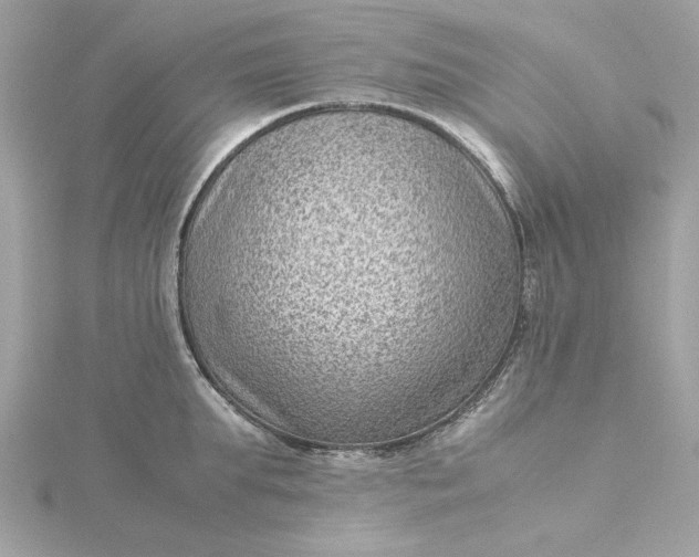 X0000116060903200912041851