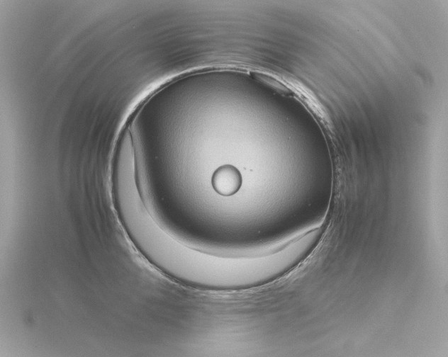 X0000116060904200912041851