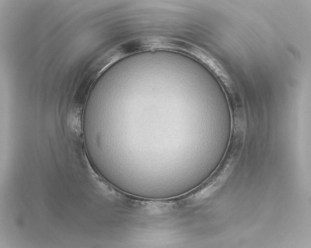 X0000116060905200912041851