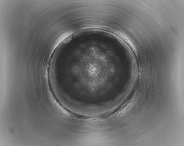 X0000116060906200912041851