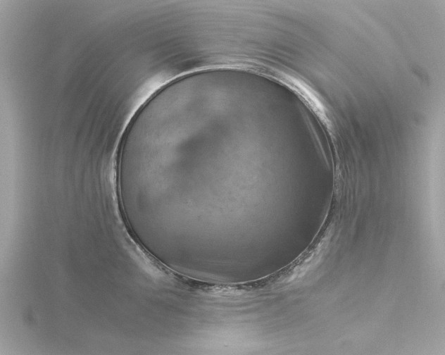 X0000116060907200912041851