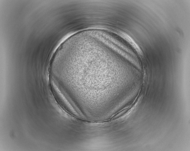 X0000116060908200912041851