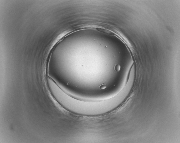 X0000116060909200912041851