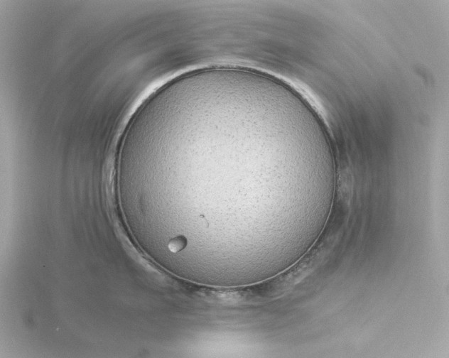 X0000116060911200912041851