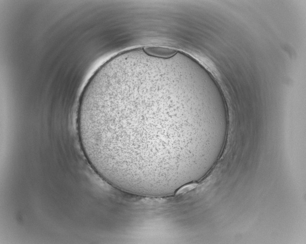 X0000116060912200912041851