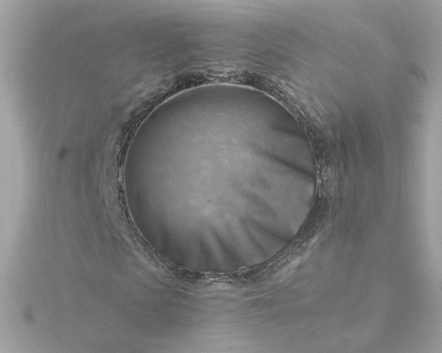 X0000116060913200912041850