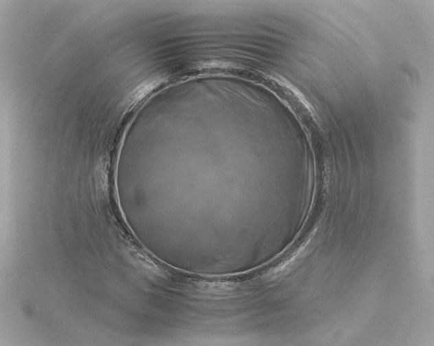 X0000116060921200912041850