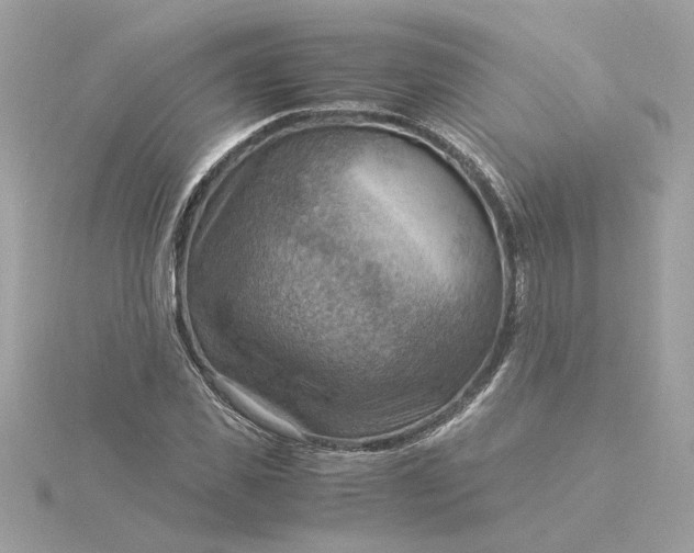X0000116060925200912041850