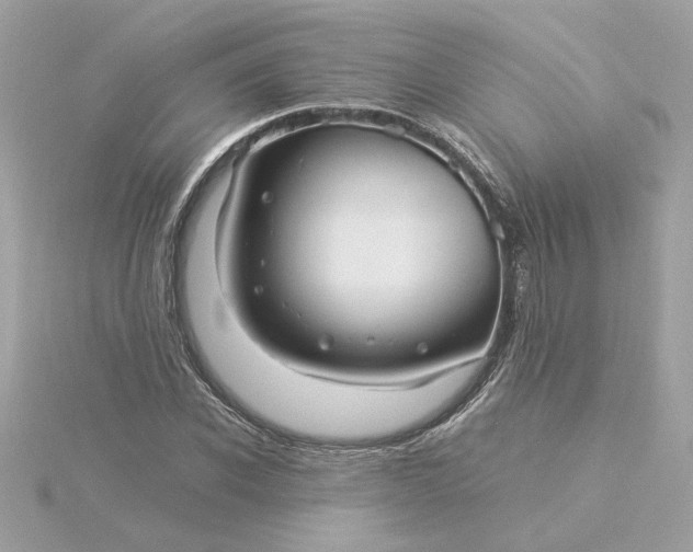 X0000116060926200912041851