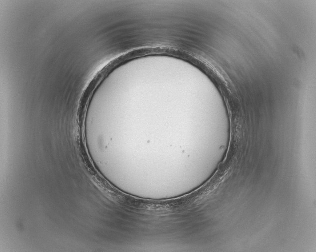 X0000116060927200912041851