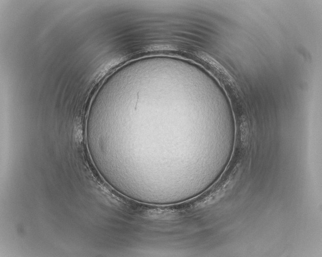 X0000116060929200912041851