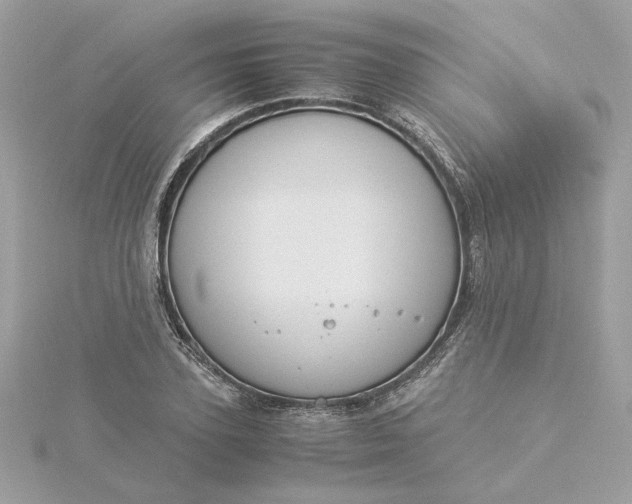 X0000116060931200912041851