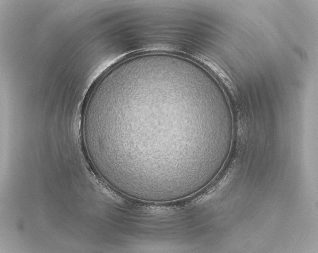 X0000116060933200912041851