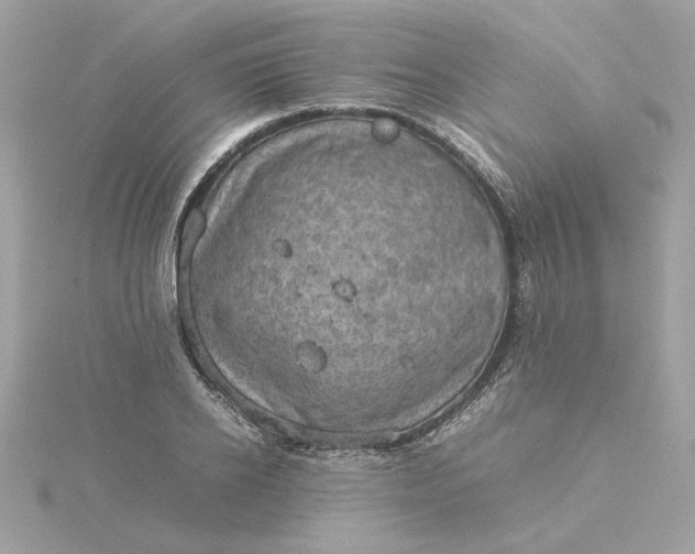 X0000116060934200912041851