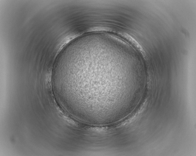 X0000116060937200912041851