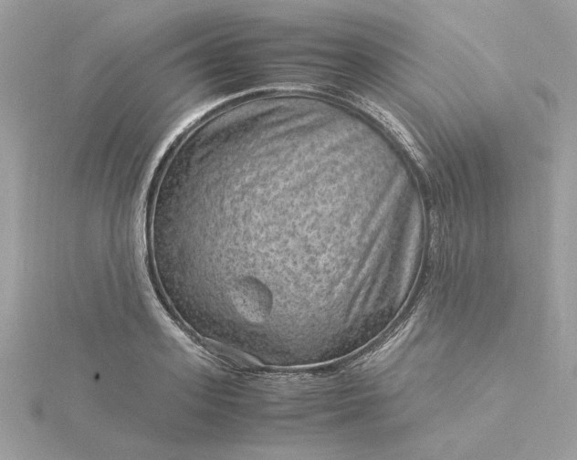 X0000116060939200912041851