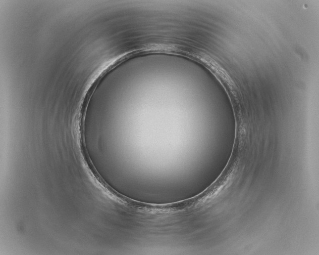 X0000116060941200912041851