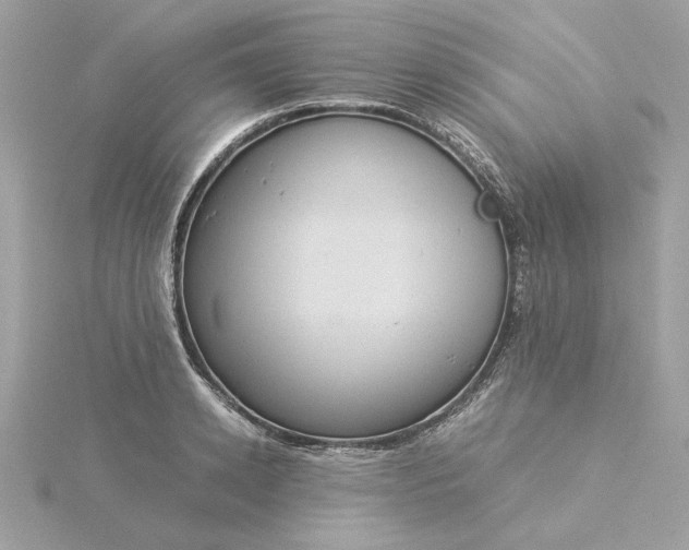 X0000116060942200912041851