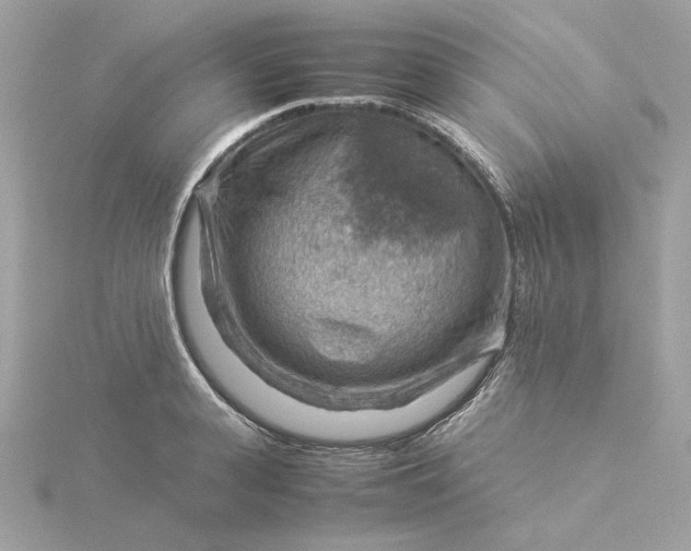 X0000116060943200912041851