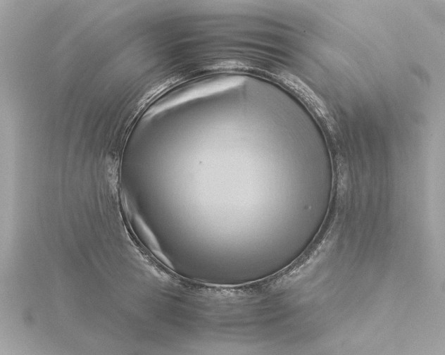 X0000116060945200912041851