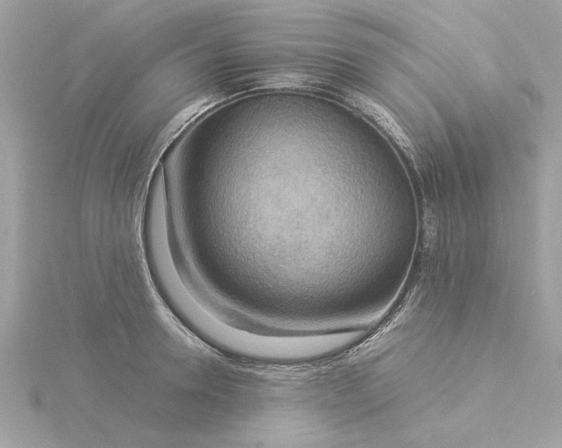 X0000116060946200912041851