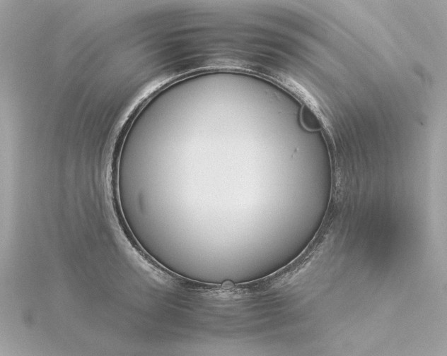 X0000116060947200912041851