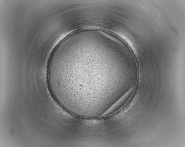 X0000116060949200912041851