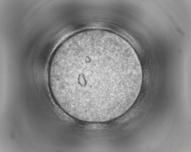 X0000116060950200912041851