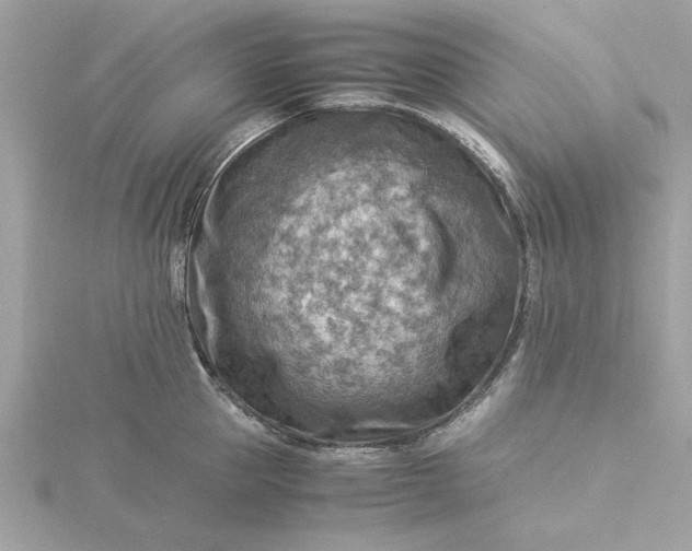 X0000116060953200912041851