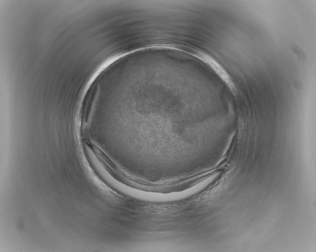 X0000116060955200912041851