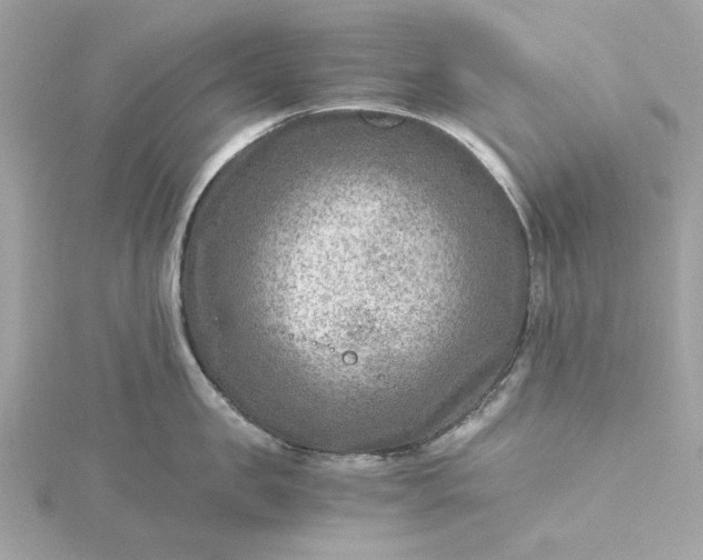 X0000116060957200912041851