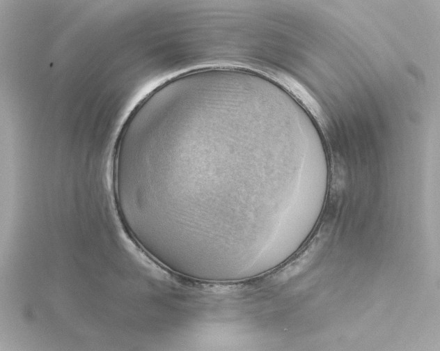 X0000116060958200912041851