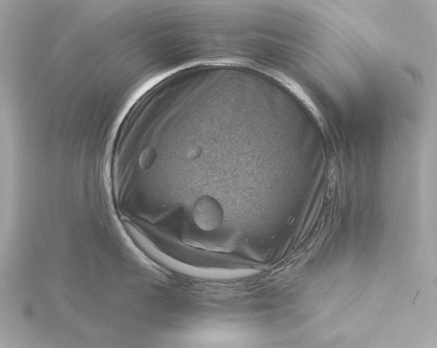 X0000116060959200912041851