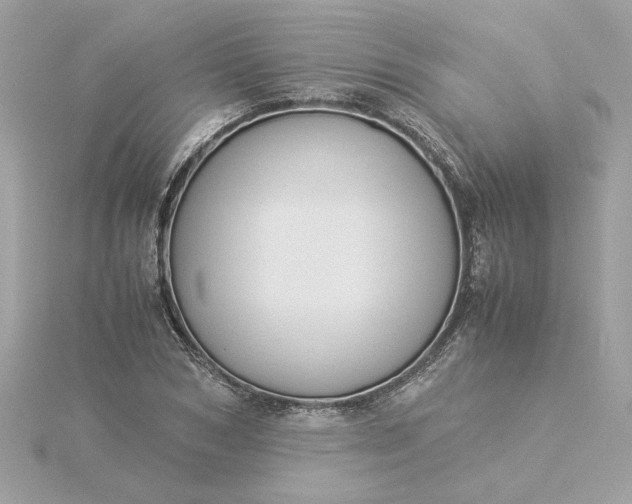 X0000116060978200912041850
