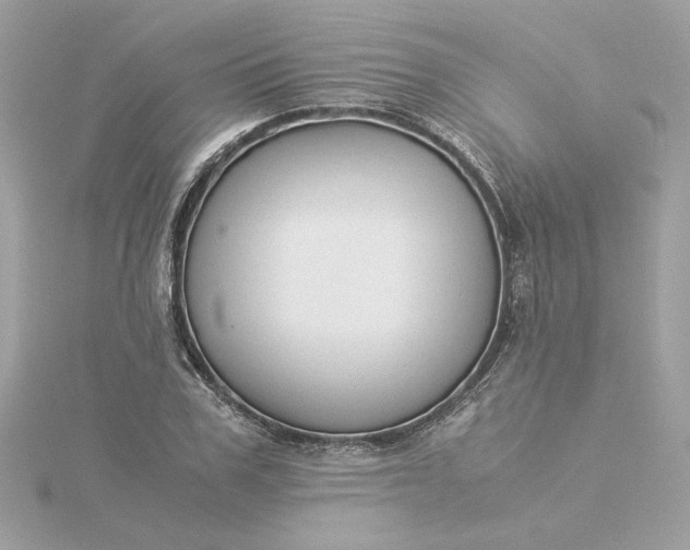 X0000116060979200912041850
