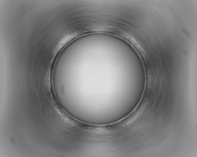 X0000116060986200912041850