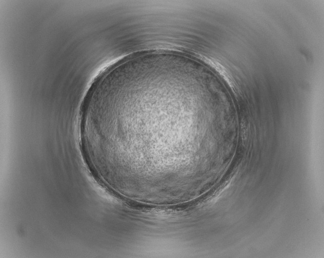 X0000116060987200912041850